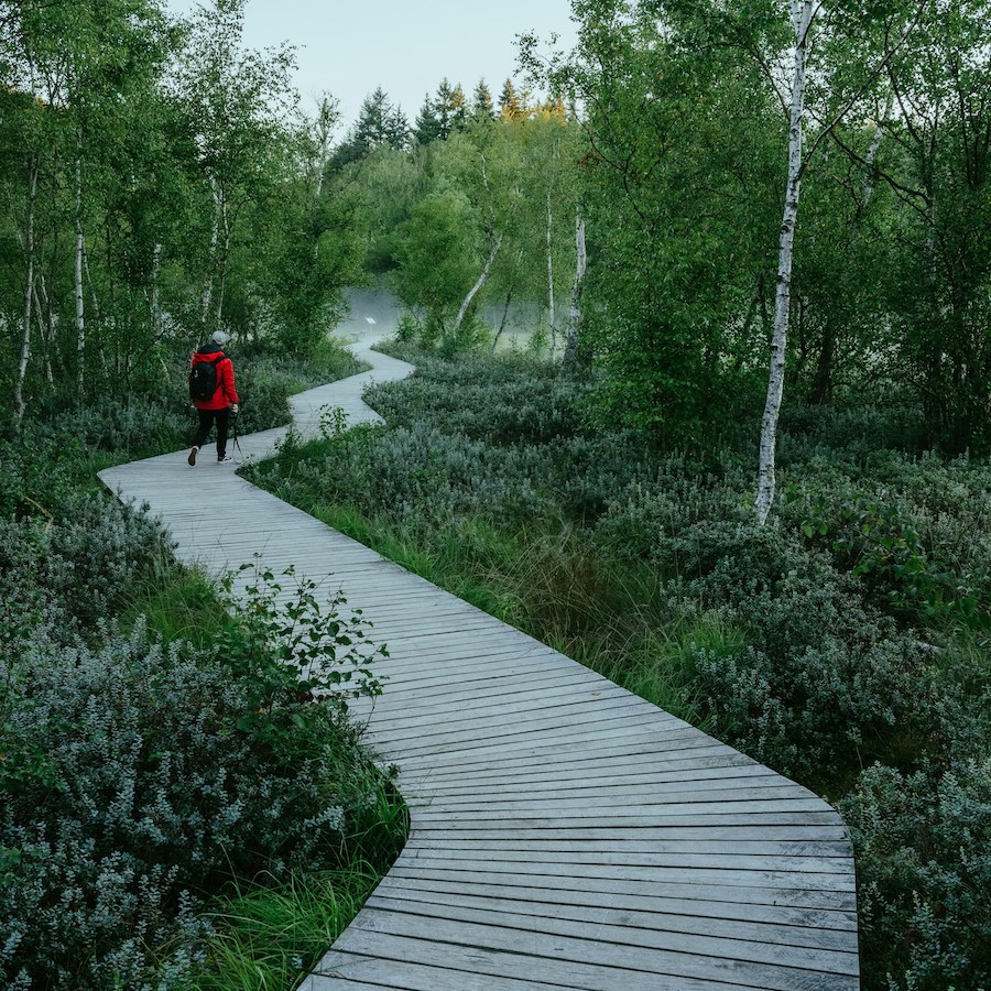 andreas-rasmussen-E26s71bSrf4-unsplash-1